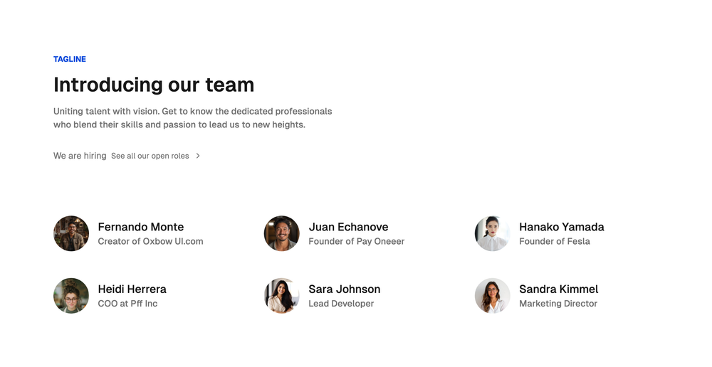 team preview 2