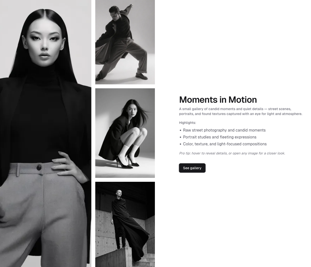 gallery preview 4
