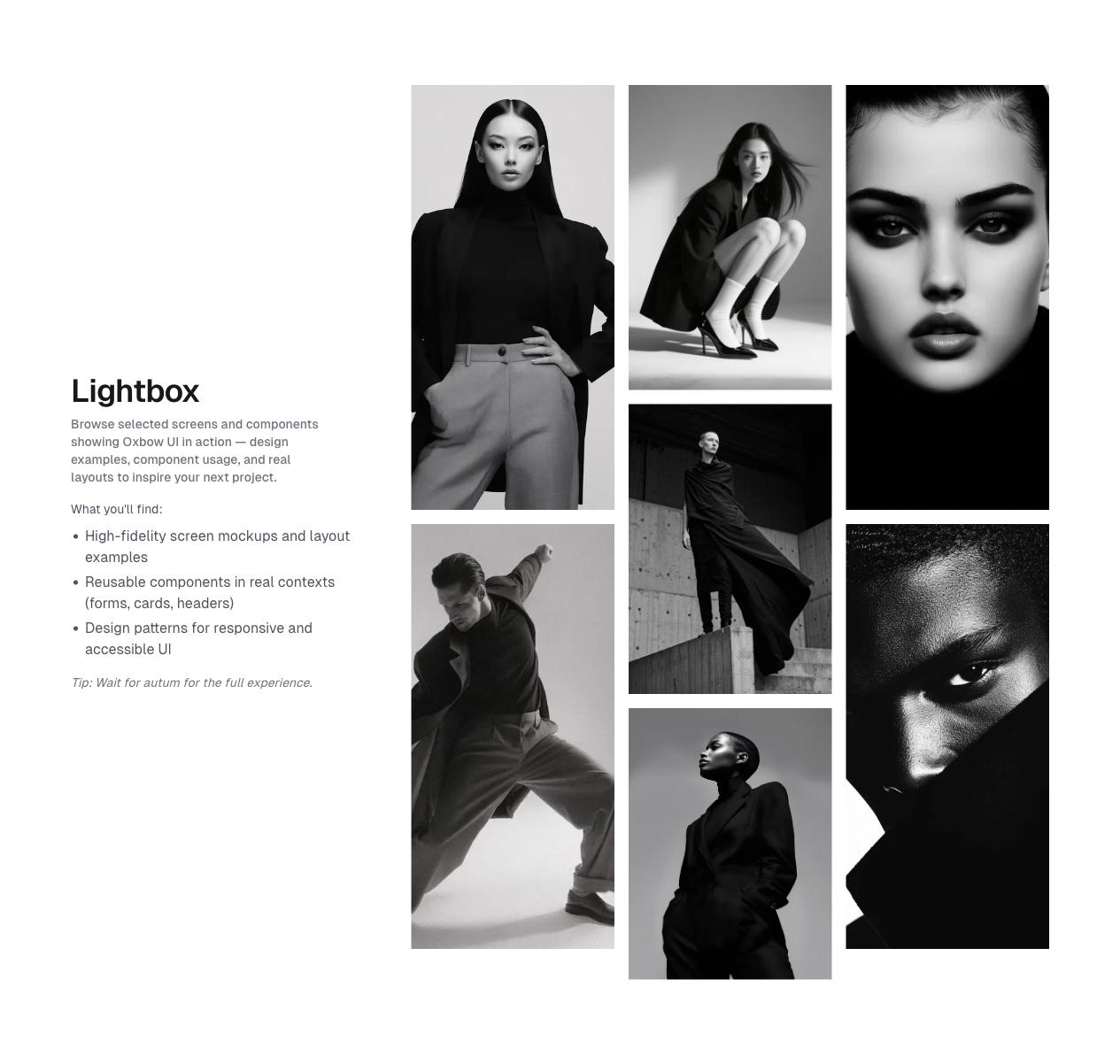 gallery preview 5