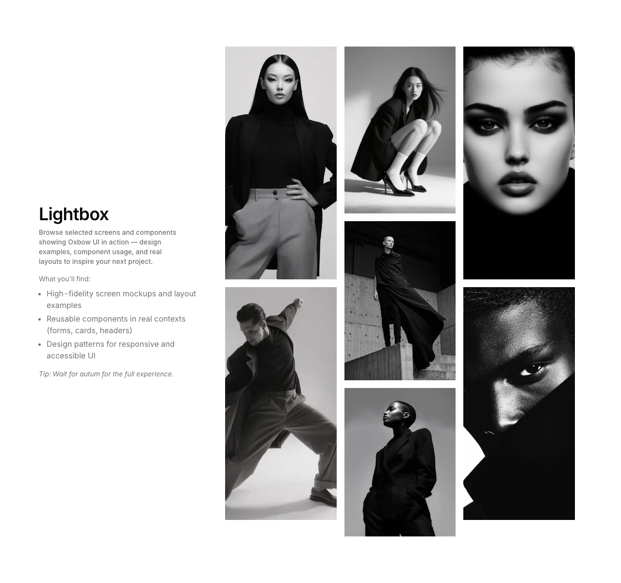 gallery preview 5