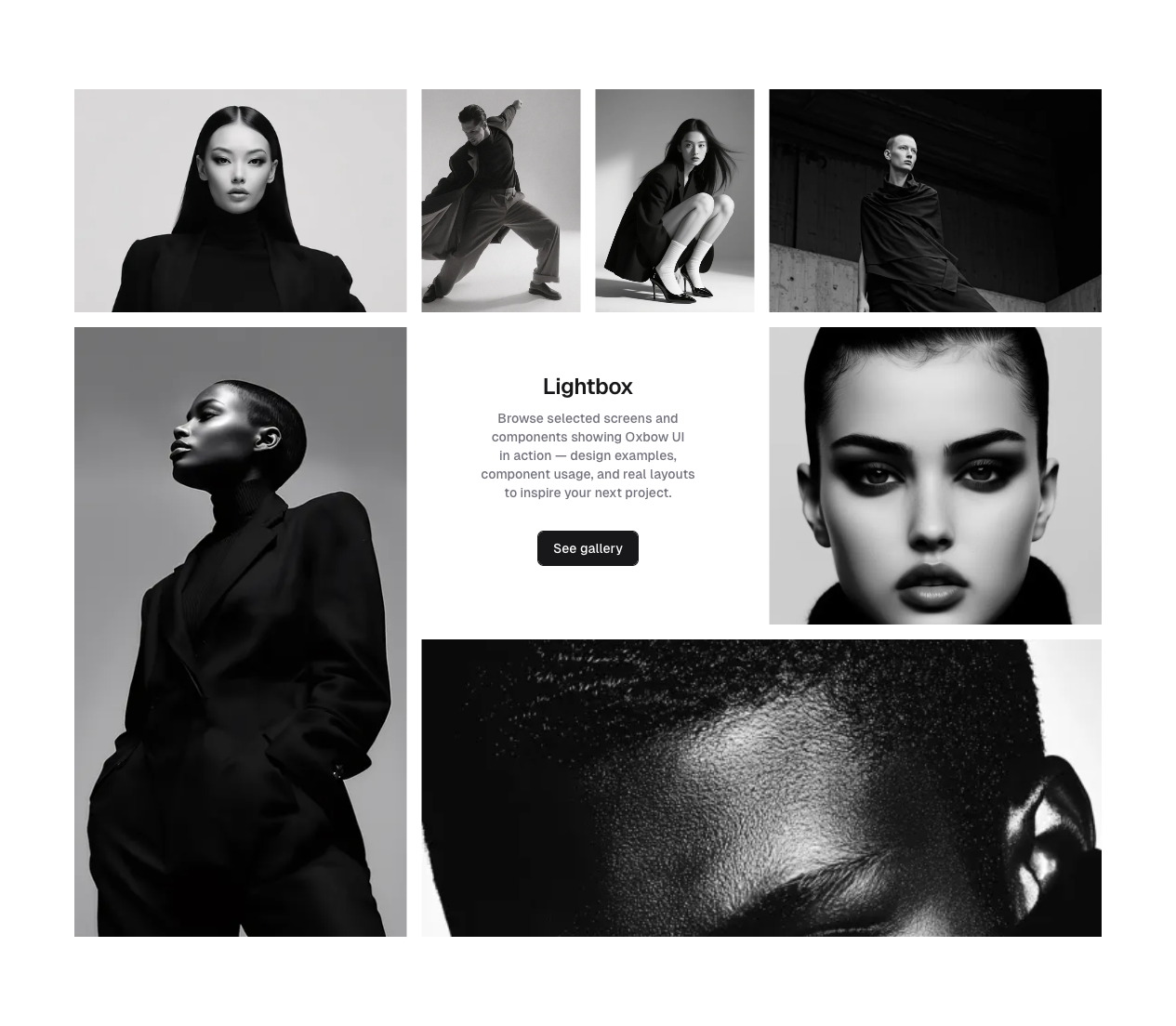 gallery preview 7